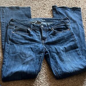 American Eagle Outfitters Dark Blue Straight Leg Jeans